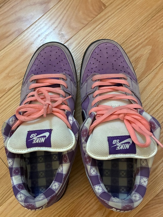 Nike Other - Nike SB Purple and Pink Low-Top Skate Shoes